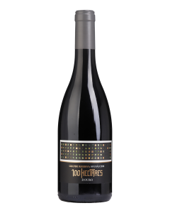 100 Hectares Grande Reserva Sousão Rotwein 2020