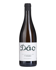 António Madeira A Liberdade Branco 2023