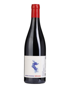 António Madeira Tinto 2022