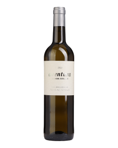 Aventura Branco 2017