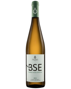 BSE Branco 2019