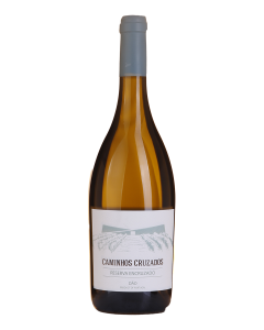 Caminhos Cruzados Reserva Encruzado Branco 2024