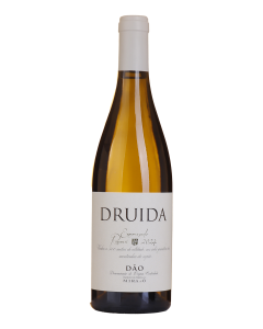 Druida Reserva Encruzado Branco 2024