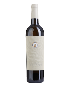 Fogueira Blanco 2023