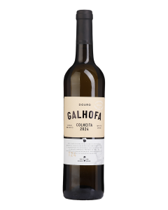 Galhofa Branco 2024