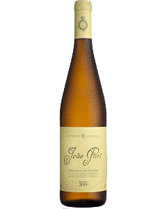 João Pires Branco 2019