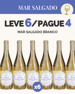 L6P4 - Mar Salgado Branco