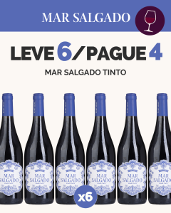 L6P4 - Mar Salgado Tinto