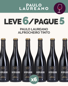 L6P5 - Paulo Laureano Alfrocheiro Tinto