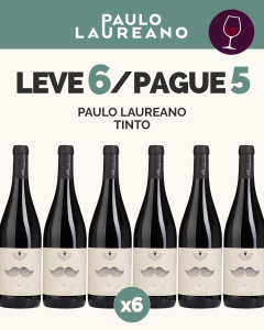 L6P5 - Paulo Laureano Tinto