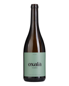 Oxalá Granitico Branco 2025