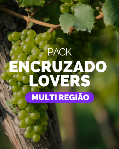 Pack Encruzado Lovers - Multi região (2x Adega de Penalva + 2x Tiago Cabaço + 2x Página)