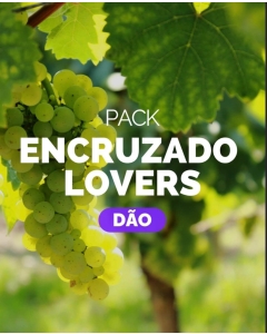 Pack Encruzado Lovers - Dão (1x Ribeiro Santo + 1x Quinta de Carvalhiços + 1x São Simão da Aguieira + 1x Musgo + 1x Soito + 1x Quinta da Ponte Pedrinha)