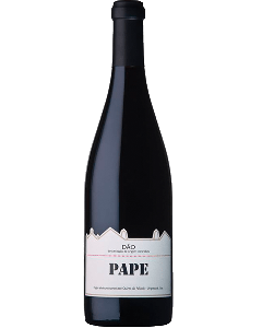 Pape Tinto 2015
