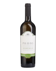 Piloto Collection Siria Branco 2018