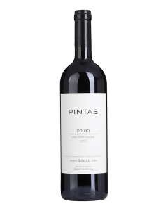 Pintas Tinto 2023