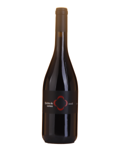 Quinta de Lemos Jaen Tinto 2008