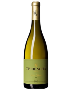 Terrincha Witte 2025