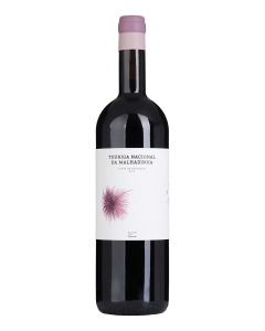 Touriga Nacional da Malhadinha Tinto 2023