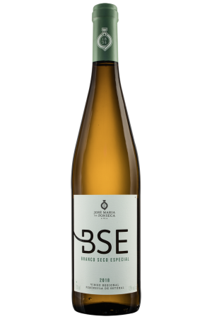BSE Blanco 2023