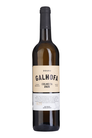 Galhofa Branco 2025