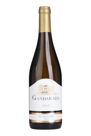 Gandarada Encruzado Branco 2025