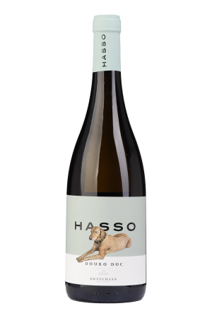 Hasso Branco 2023