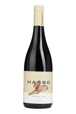 Hasso Tinto 2024