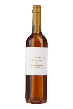 Horácio Simões Muscat Setúbal DOC 2021