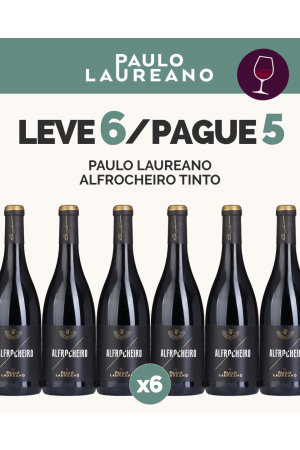 L6P5 - Paulo Laureano Alfrocheiro Tinto