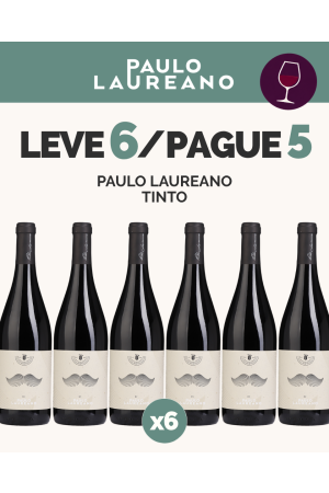 L6P5 - Paulo Laureano Tinto
