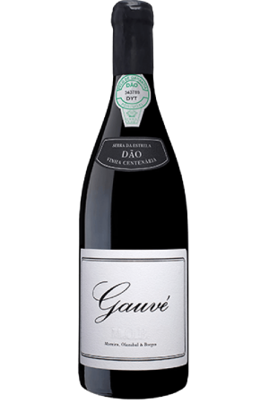 M.O.B. Gauvé Tinto 2016