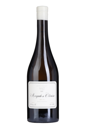 Morgado de Oliveira Branco NV