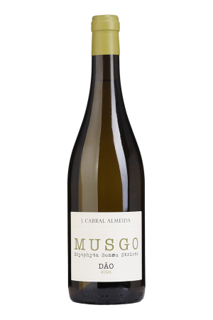 Musgo White 2024