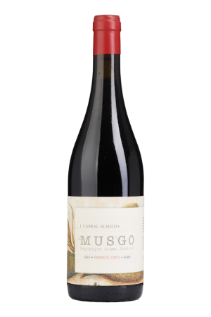 Musgo Reserva Rotwein 2022