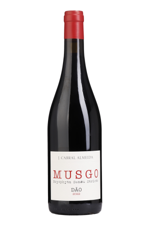 Musgo Red 2023