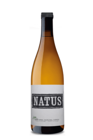 Natus Witte 2023