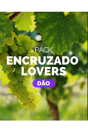 Pack Encruzado Lovers - Dão (1x Ribeiro Santo + 1x Quinta de Carvalhiços + 1x  São Simão da Aguieira + 1x Musgo + 1x Soito + 1x Quinta da Ponte Pedrinha)