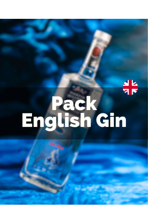 Pack English Gin (1x Bulldog + 1x Martin Miller´s)