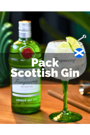 Pack Scottish Gin (1x Tanqueray Dry + 1x Hendricks)