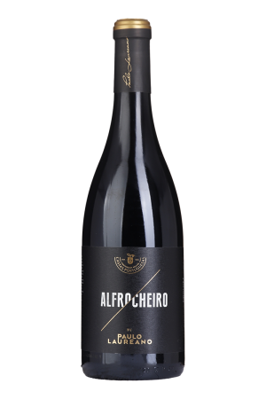 Paulo Laureano Alfrocheiro Tinto 2018