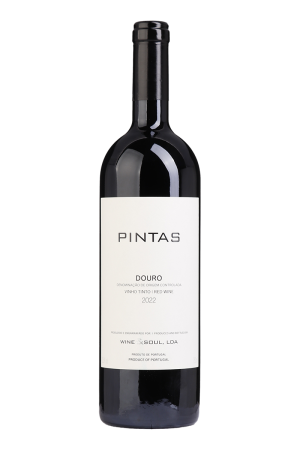 Pintas Tinto 2022