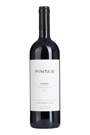 Pintas Tinto 2023