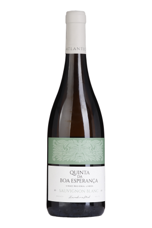 Quinta da Boa Esperança Sauvignon Blanc 2025
