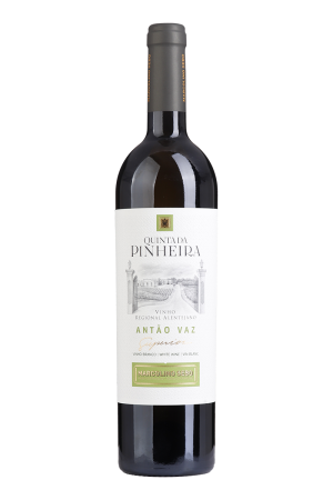 Quinta da Pinheira Antão Vaz Branco 2025