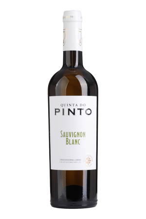 Quinta do Pinto Sauvignon Blanc Branco 2024