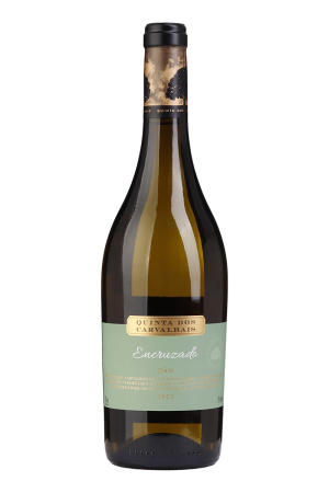 Quinta dos Carvalhais Encruzado Blanc 2024