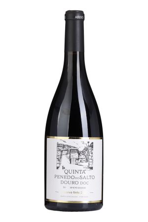 Quinta Penedo do Salto Reserve Red 2021