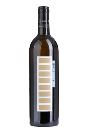 Scala Coeli Encruzado Blanc 2023