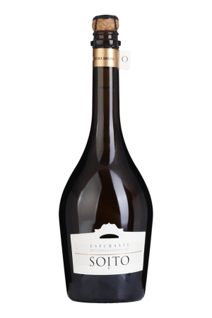 Soito Espumoso Gran Reserva Extra Brut Blanco de Noirs 2019
